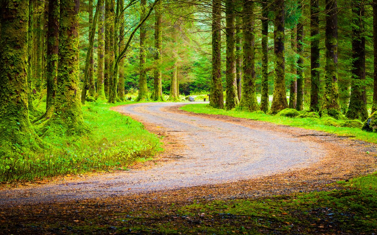 _creative_guide's tweet image. Walking is a great way to help boost your creativity, but different kinds of walks have different kinds of results. 

Check out our blog post: "Take a walk along an unfamiliar path."

buff.ly/3GMb7IN 

#creativeguide #creativecoach #creativitycoach #creativecoaching