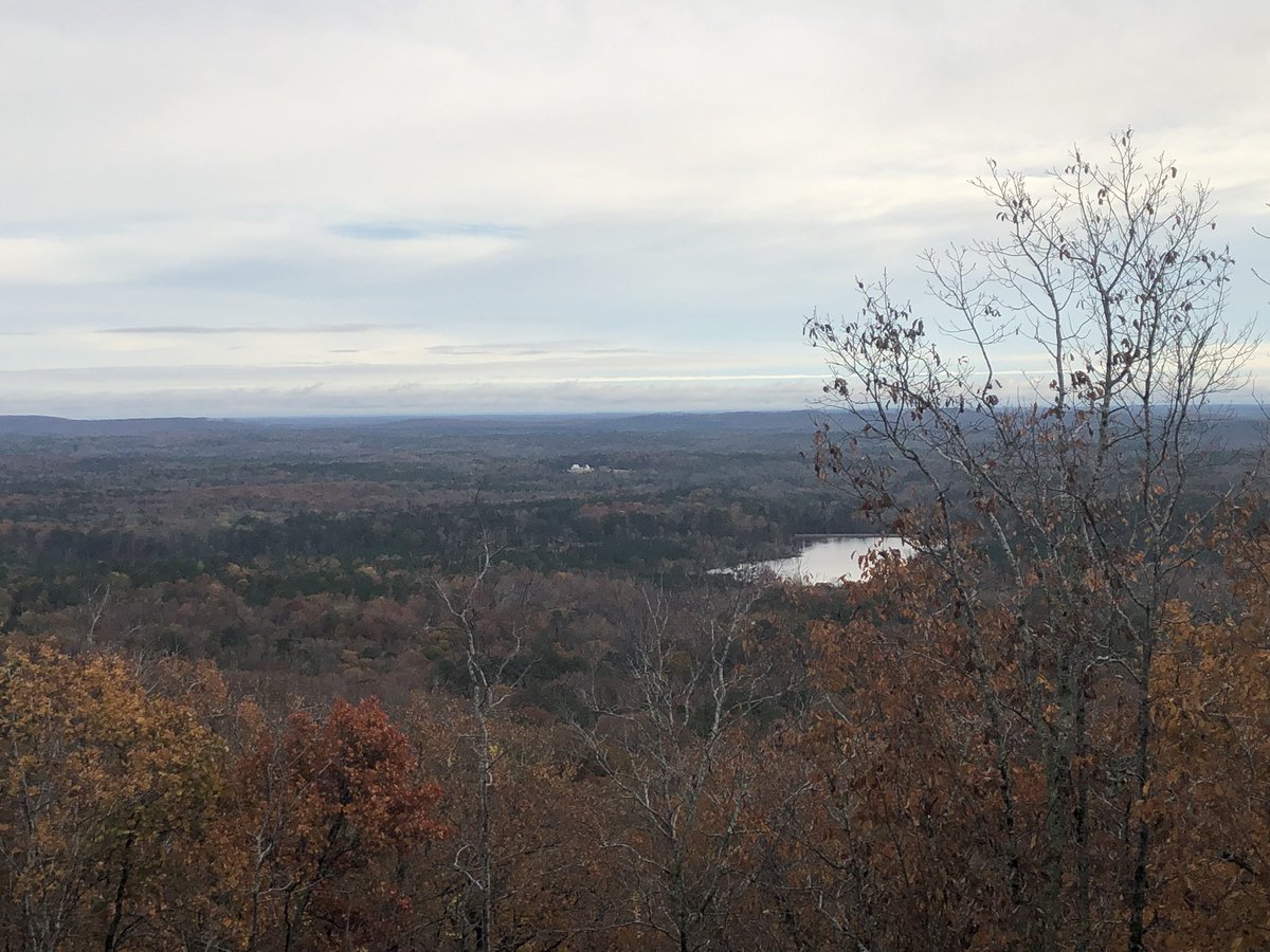 Ian Guerin tweet media