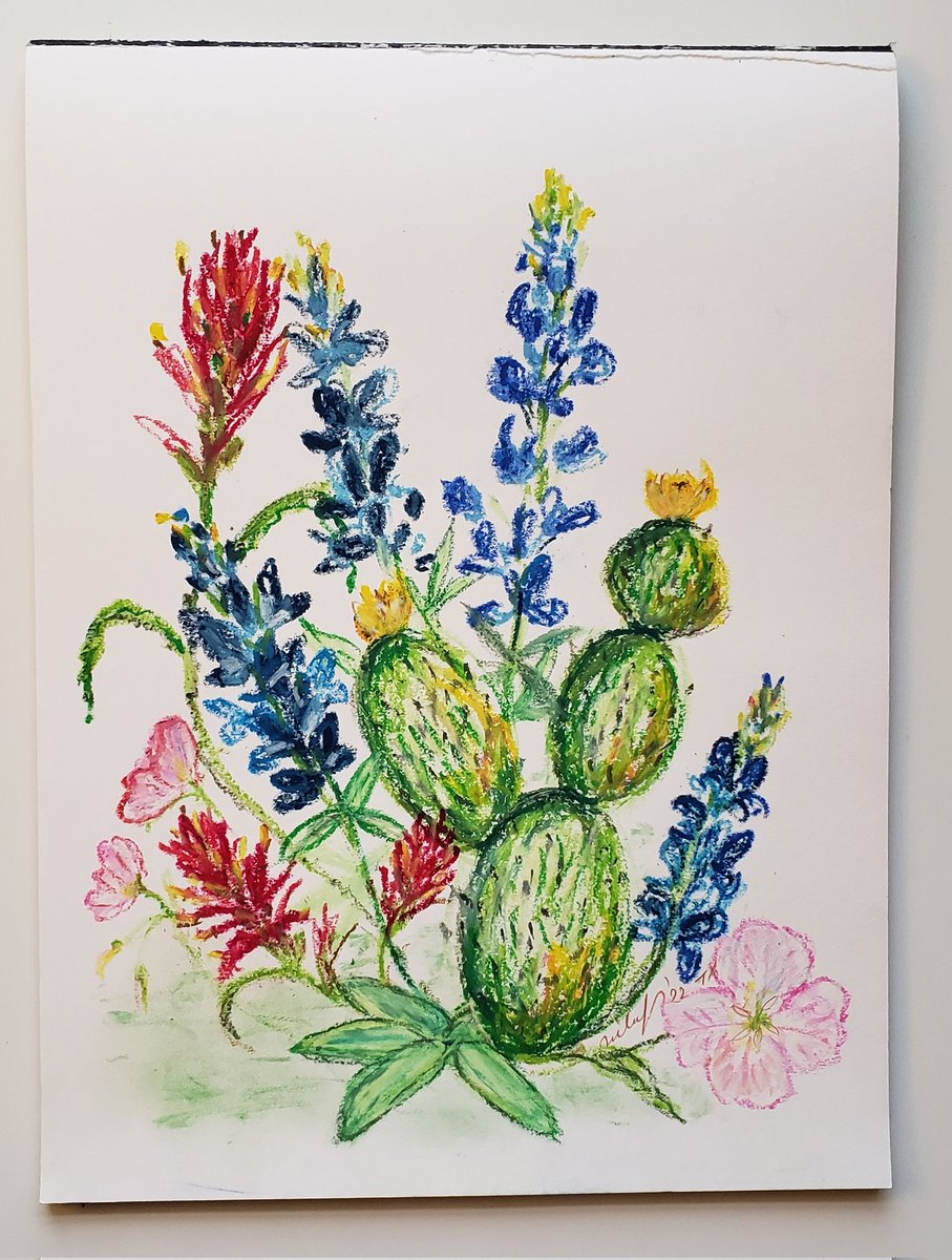 nympis's tweet photo. I've already missed the lovely spring days of Texas 😔🤧 #bluebonnets #indianpaintbrush #pinkeveningprimrose #pricklypear #cactus #Austin #Texas https://t.co/qRtQ2h5KXy
