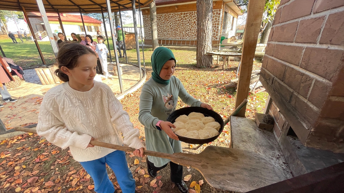 Samsun’da atıl bina “orman okulu”na dönüştürüldü, öğrenciler ekolojik yaşamı deneyimleyerek öğreniyor.

trthaber.com/foto-galeri/og…
