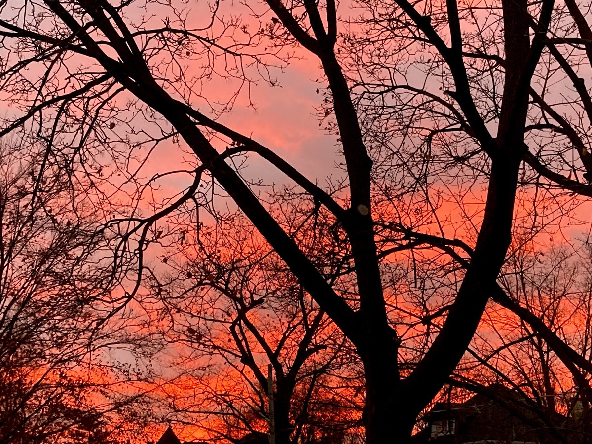 Final fall update: Done like dinner.