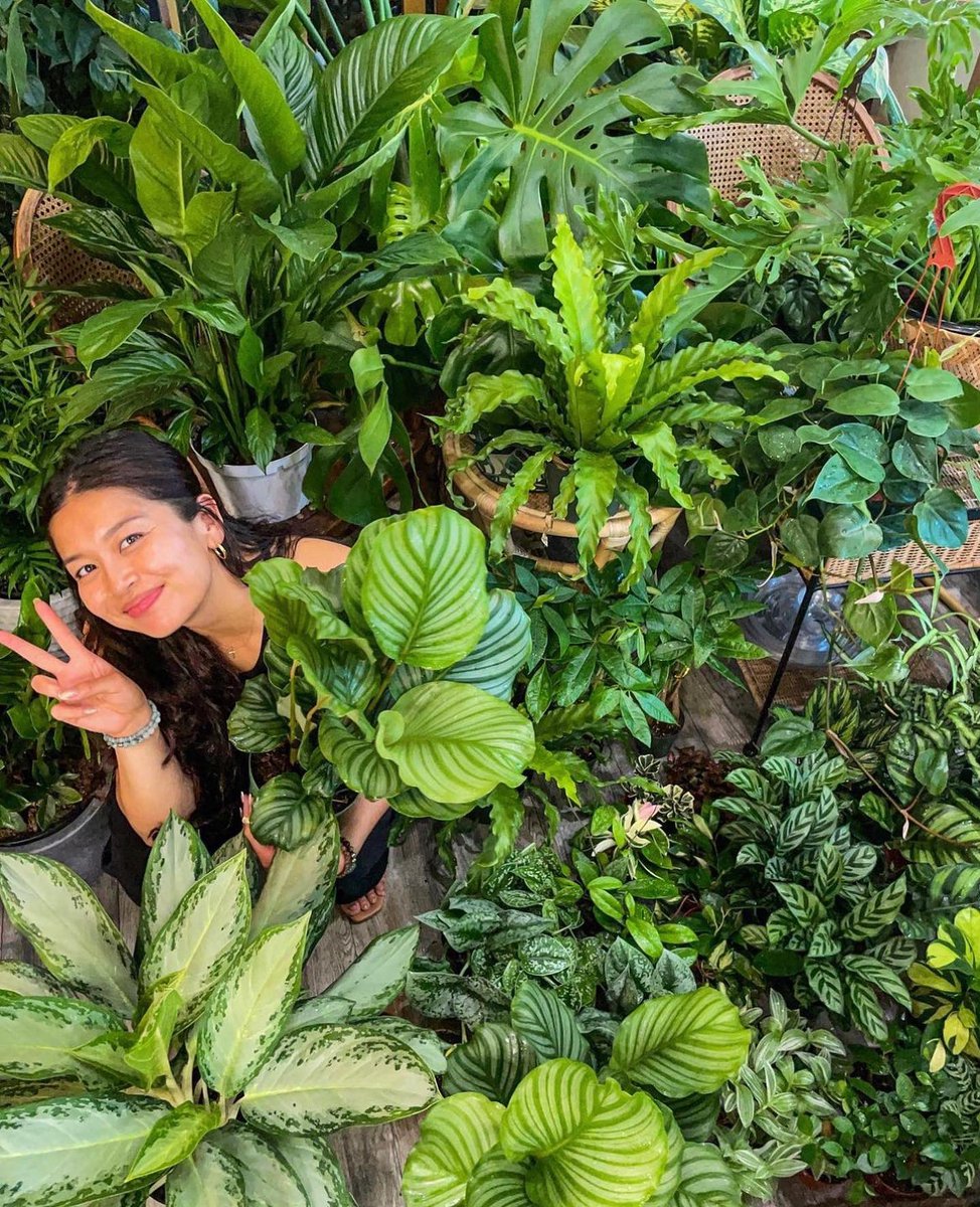 Make it a #GreenFriday in Berkeley with these three #femaleowned plant shops: Paraiso on Fourth St, Pamana @onsolano and The Plant Queen on San Pablo Ave! ✌️ VisitBerkeley.com #berkeley @VisitCA