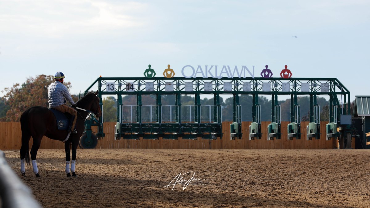 OaklawnRacing's tweet photo. LET THE COUNTDOWN BEGIN!   ⏰ 
 
We are exactly 2 WEEKS AWAY from the start of Oaklawn's LIVE RACING SEASON beginning December 9th! https://t.co/tVKvEOeSyR