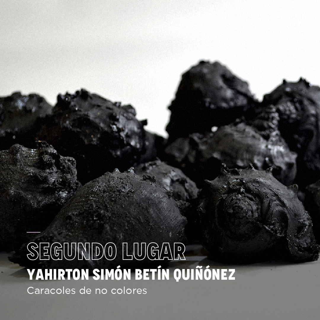 Bacánika tweet media