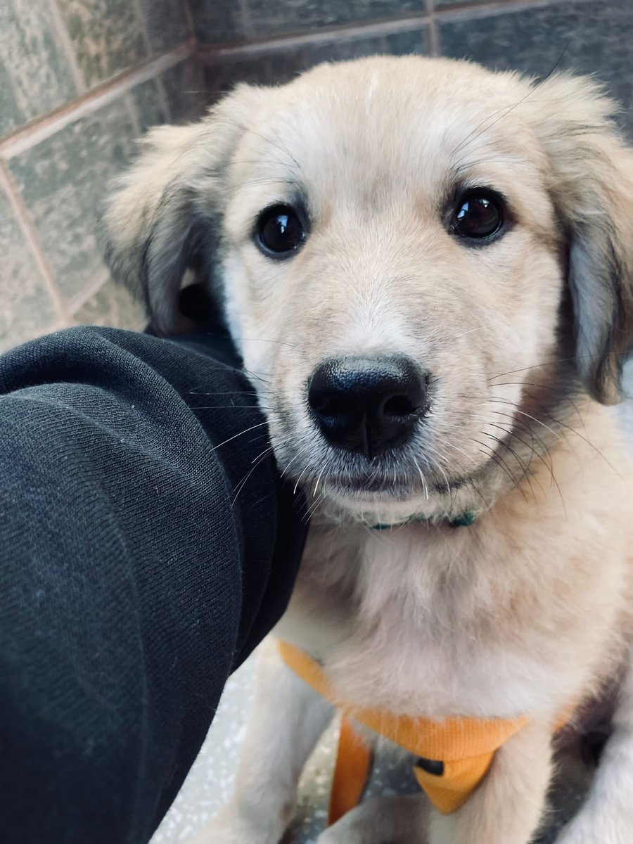 İnsan, dünyadaki en güzel, en yüce, en korkunç, en acımasız yaratık. Hepsi bir arada.#Konyadakatliamvar