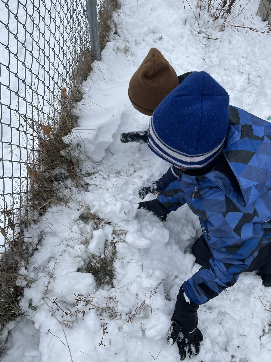 mrsdebertin's tweet photo. This fall Holly from @Meduxnekeag “when you think it’s too late to plant milkweed seeds, that’s the time to do it”. Today we planted! #coldstratification #milkweed @CentrevilleSch https://t.co/JthfpSQppd