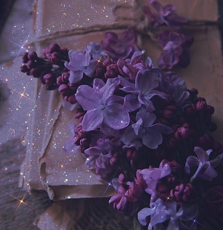𝓟 ༊*·˚ tweet media