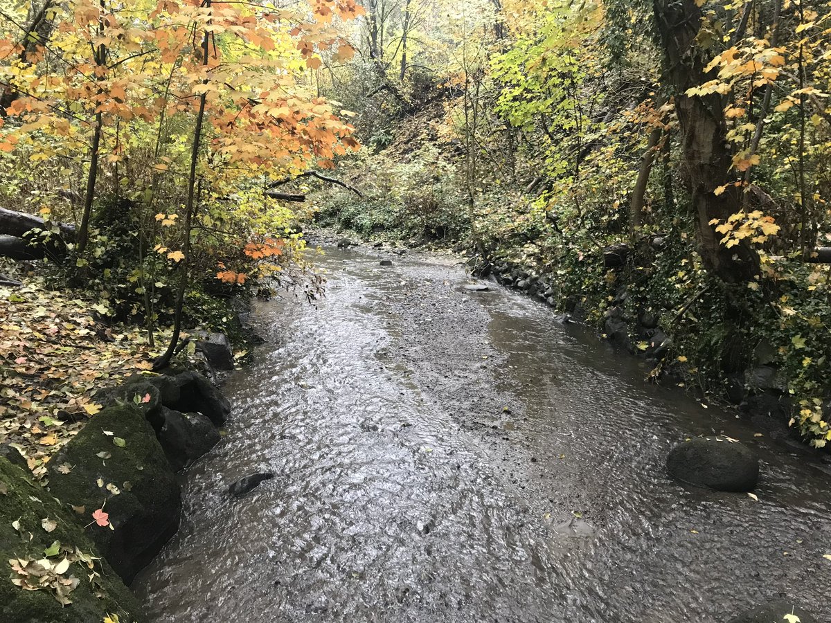 stream_north tweet picture