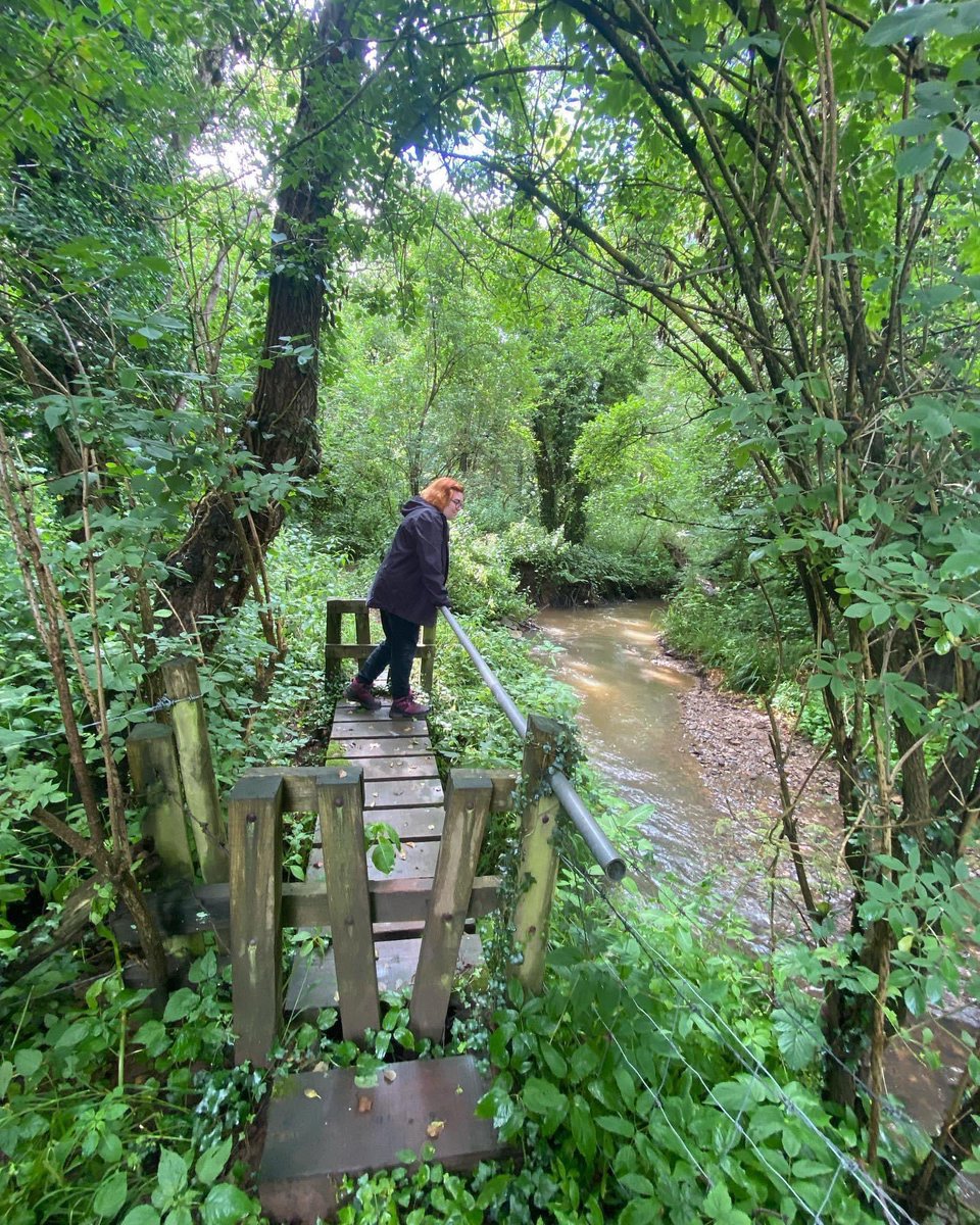 wyevalleywalk's tweet photo. https://t.co/77qIPG5t8j