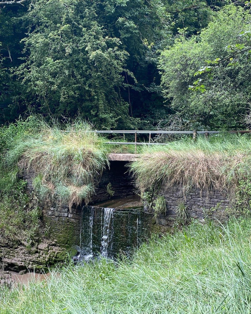 wyevalleywalk's tweet photo. https://t.co/Z4e0G0QWlA