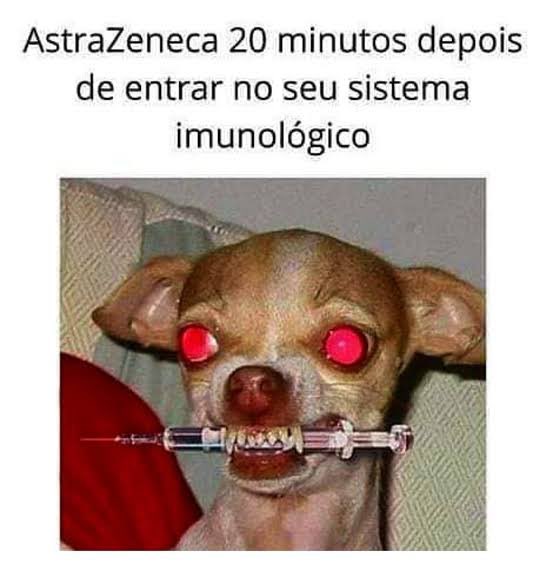 garasquinha's tweet photo. Eu neste momento após uma dose de AstraZeneca. 🫠🤯
Antes de imunizar, ela te humilha, no caso. https://t.co/CkLxYKYoNl