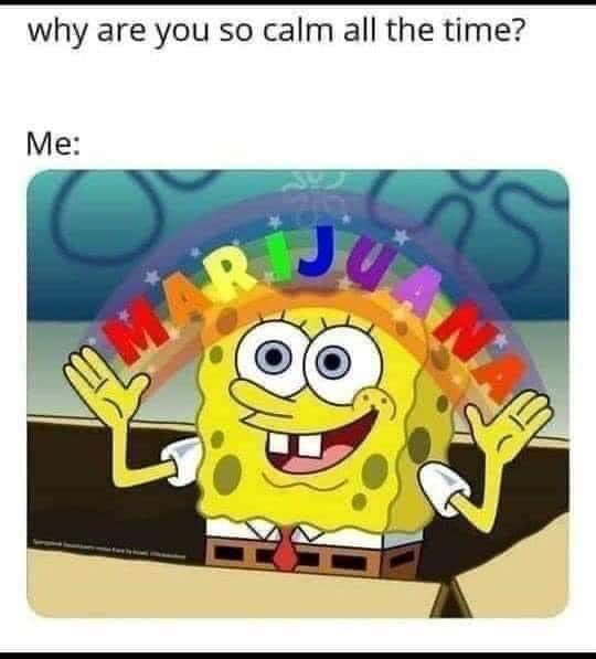 BudSpotter420's tweet photo. “You always seem like you’re in a good mood” well, yeah, weed will do that 😂 #Mmemberville #StonerFam #weedmob https://t.co/3HzPc36BNk