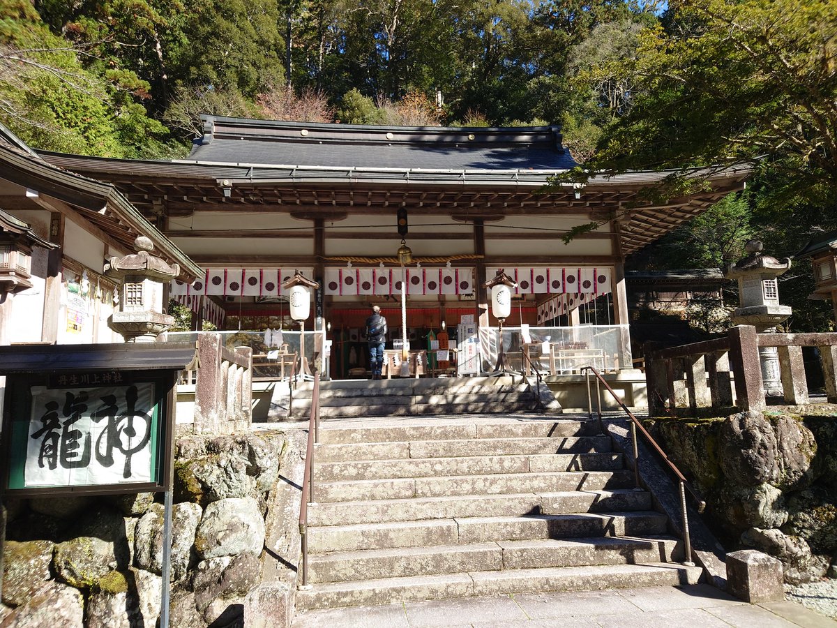 ver_chan_sagasi's tweet photo. 昨日は奈良県東吉野村の丹生川上神社（中社）に参拝してきました。三枚目の龍玉を四枚目の龍神の淵に願いを込めて投げ入れます。
ベルが帰ってきますようにとお願いしてきました。水の神様だから隅田川周辺で居なくなったベルを守ってくれるかなあ？ https://t.co/P04OnTALN9