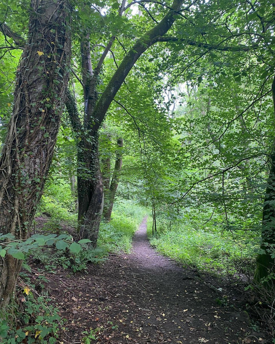 wyevalleywalk's tweet photo. https://t.co/lZtjBUVFUL