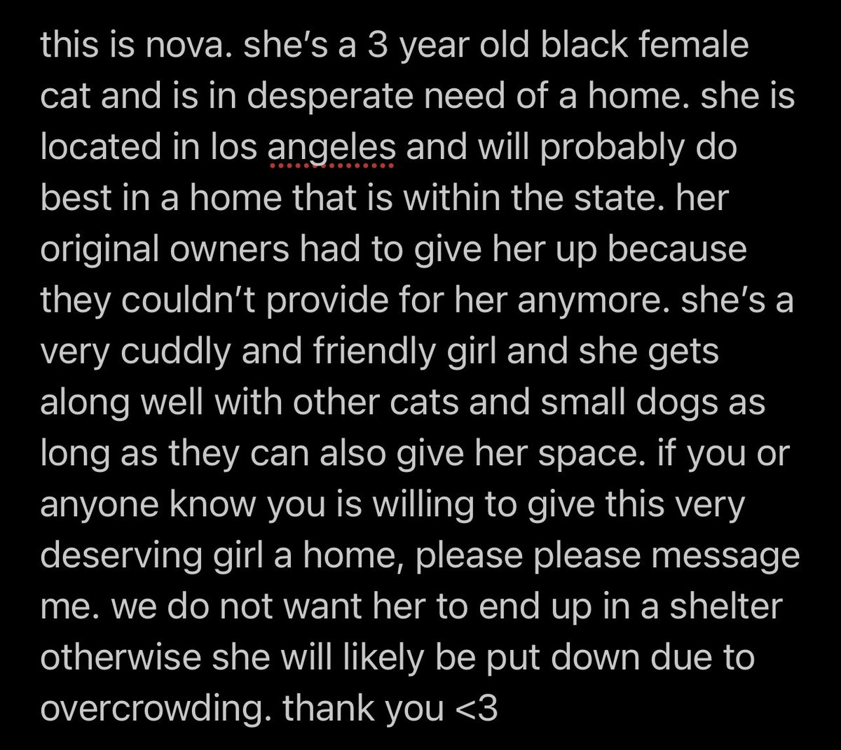 harryskiwiss's tweet photo. please rt to spread the word!!! this cat is in need of your help. https://t.co/QHxFRLWWE5
