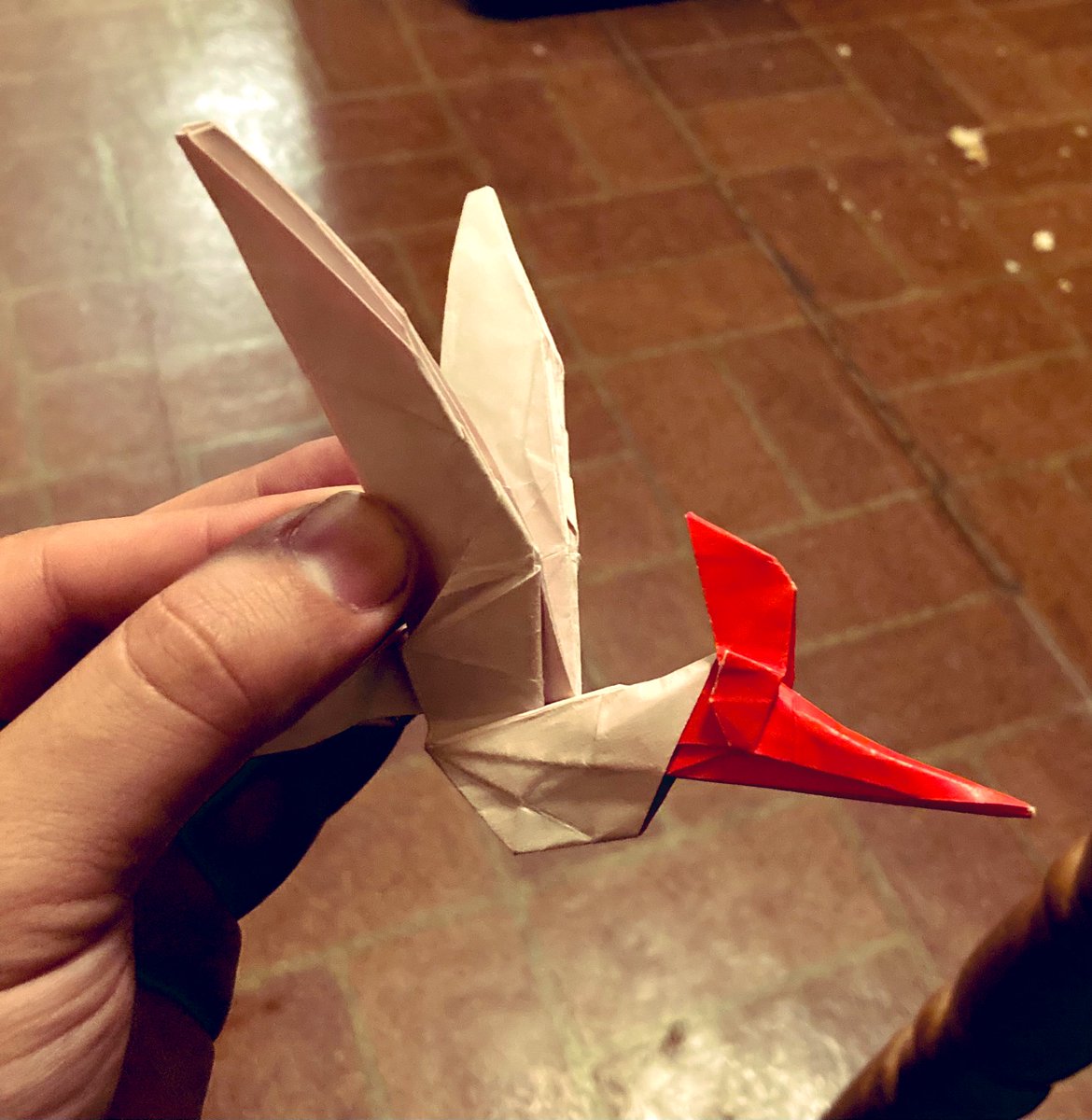 Here’s a Sternberg boy showing the short but deep torso and speculative gular sac.

Not at all perfect but I’ve altered the wing shape based on <a href="/thejohnconway/">John Conway 🦣 @john@sauropods.win</a>’s skeletal. Grateful to @gemboundprism for the prod

#pteranodon #origami #プテラノドン #ゲオステルンベルギア #折り紙作品