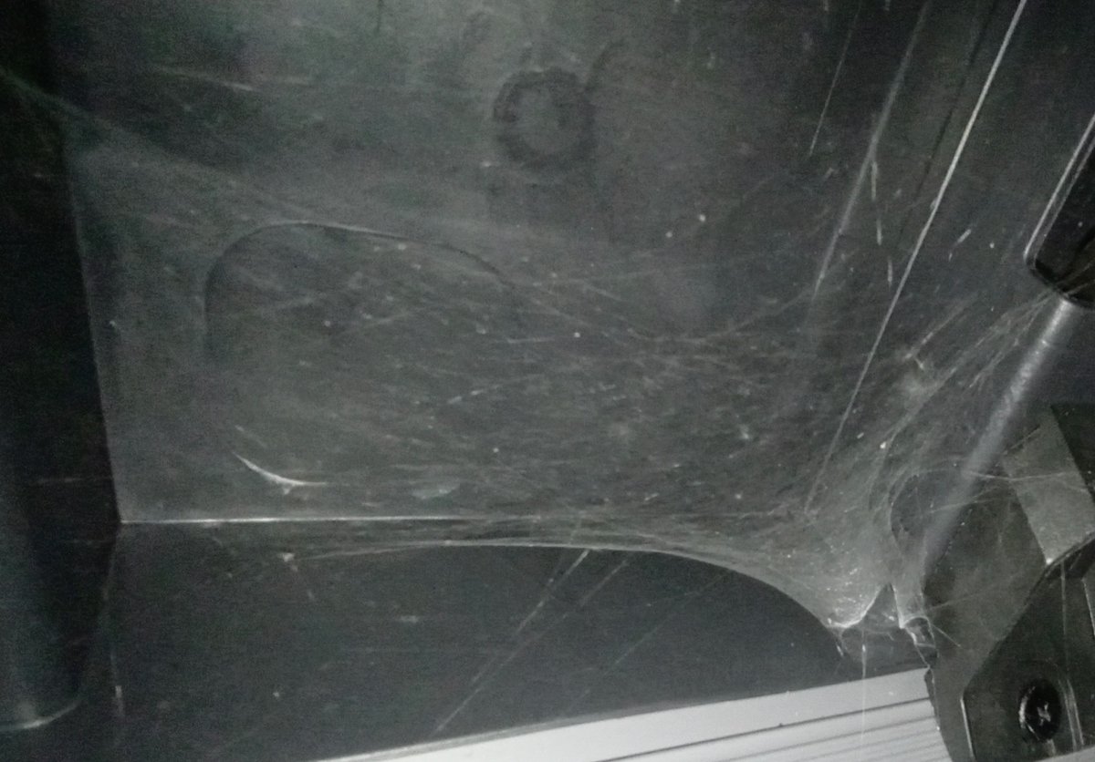 pmh's tweet image. #FMSPAD 25/11 A spider web: In the shed, where exciting things should be happening tomorrow #FMS_ASpiderWeb