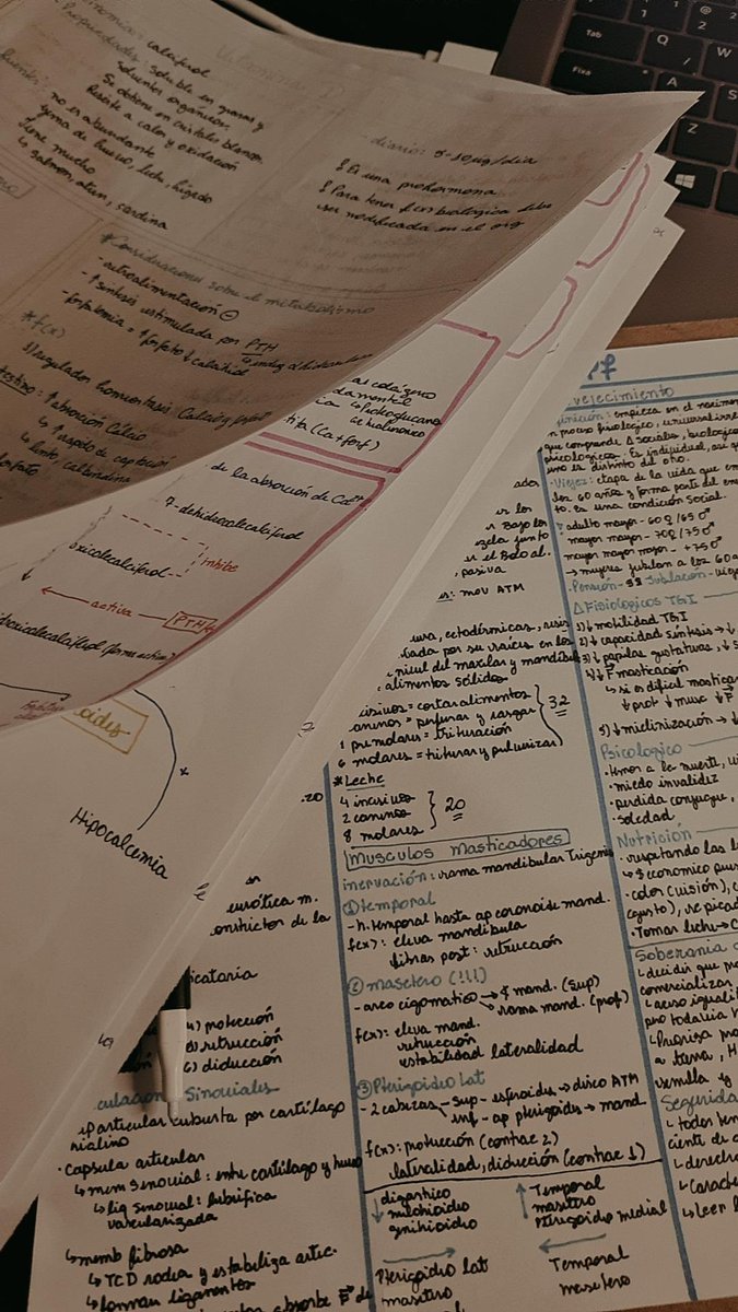 maytchka's tweet photo. Estou tão tão feliz que estou conseguindo estudar, caraca aprender coisa nova é muito bom https://t.co/j4BJxgYpmd