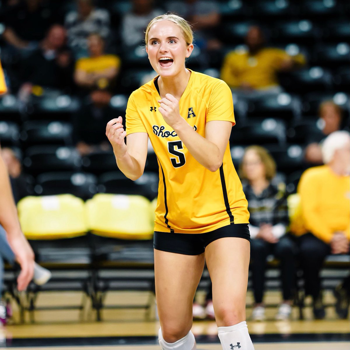 GoShockersVB's tweet photo. Kayce on the climb 📈

Congrats to @kayce_litzau on becoming the eighth setter in program history to reach 3,000 career assists! https://t.co/9SIC9bMzaU