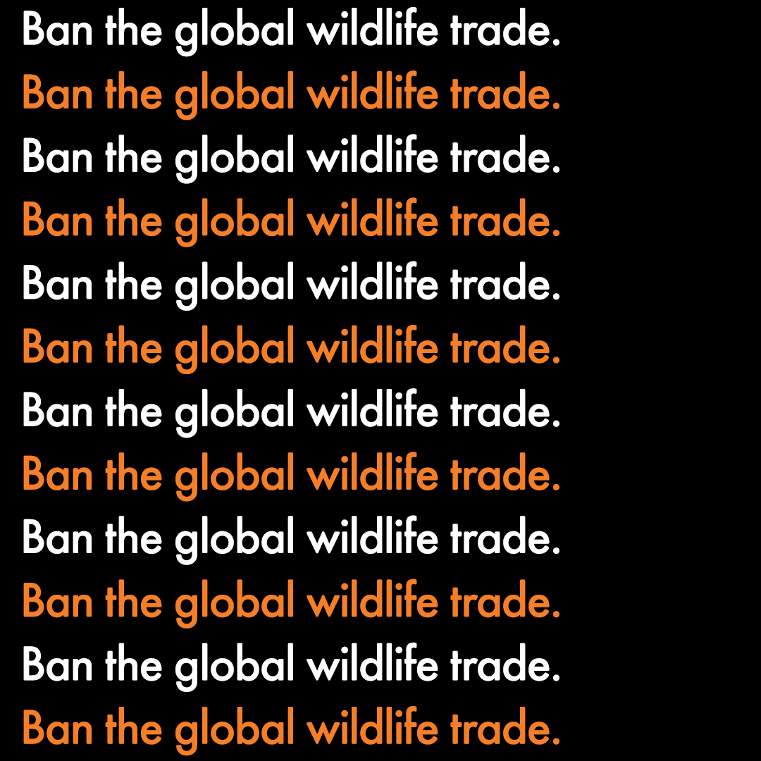 MoveTheWorldUS's tweet image. Any questions?