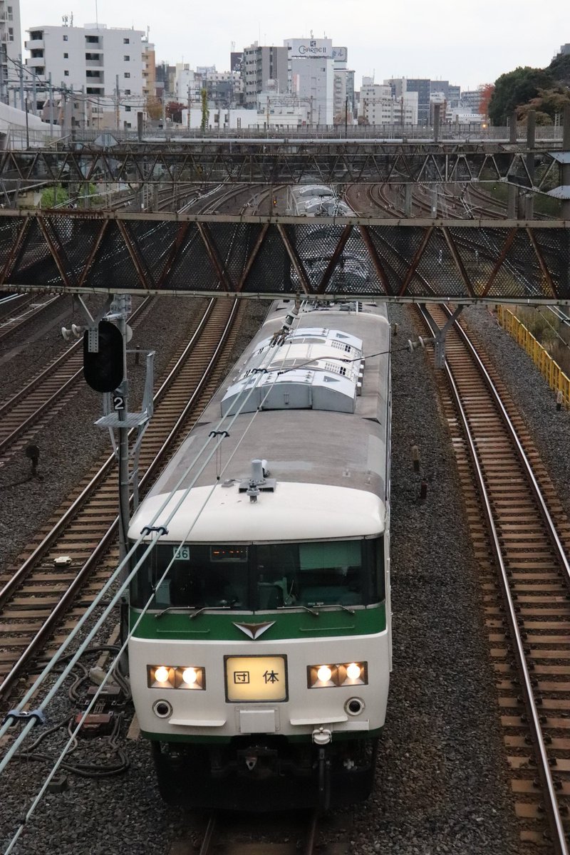 185系 新潟行き 日暮里定刻です。