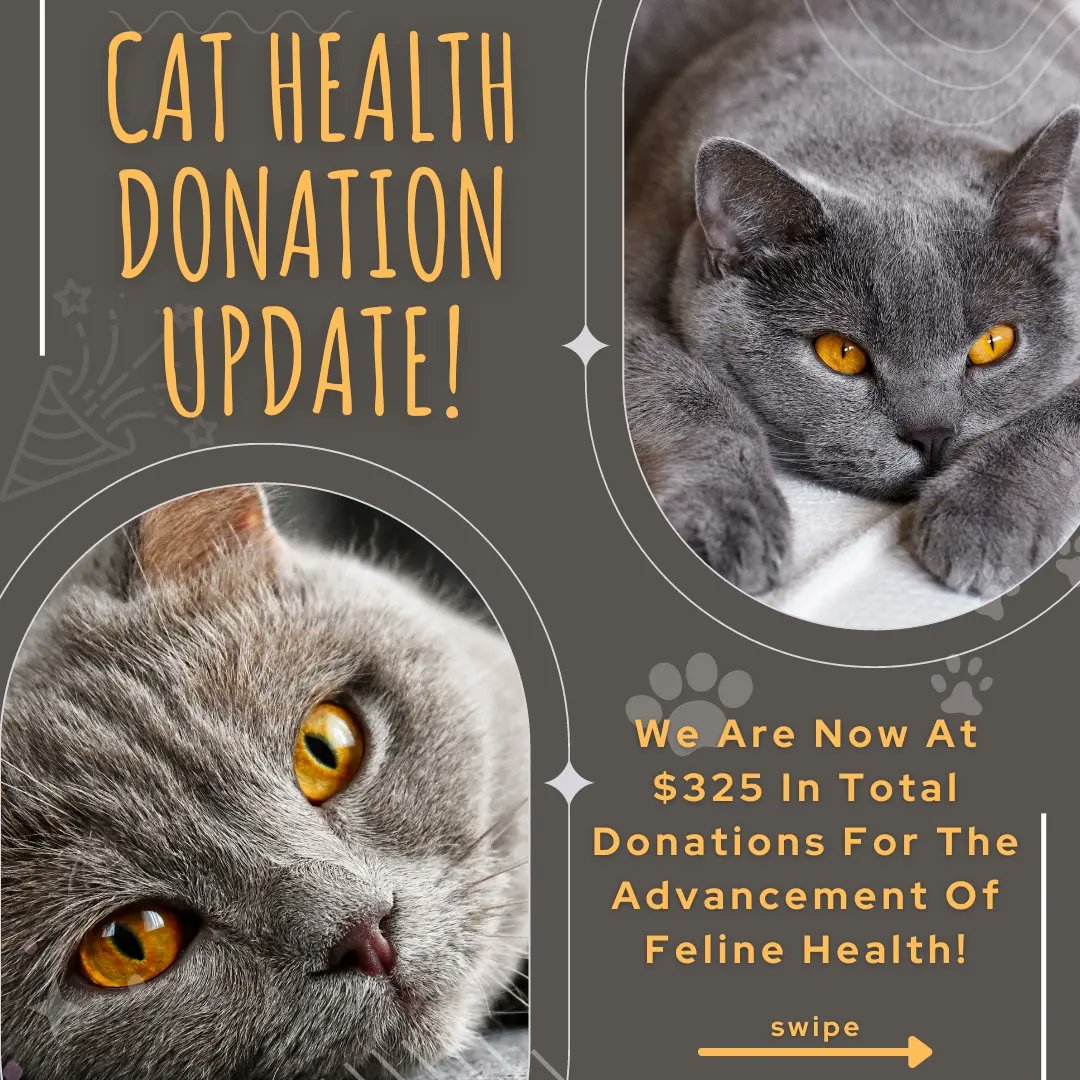 tabbycatcoffeec's tweet photo. Donation time!
#CatsOfTwitter #cathealth #felinemedicine #cathealthawareness #goalsetting #catsandcoffee #specialtycoffee #likeshare #ilovecats #ilovecoffee #morrisanimalfoundation #everycathealthfoundation https://t.co/uTwjPFCr7b