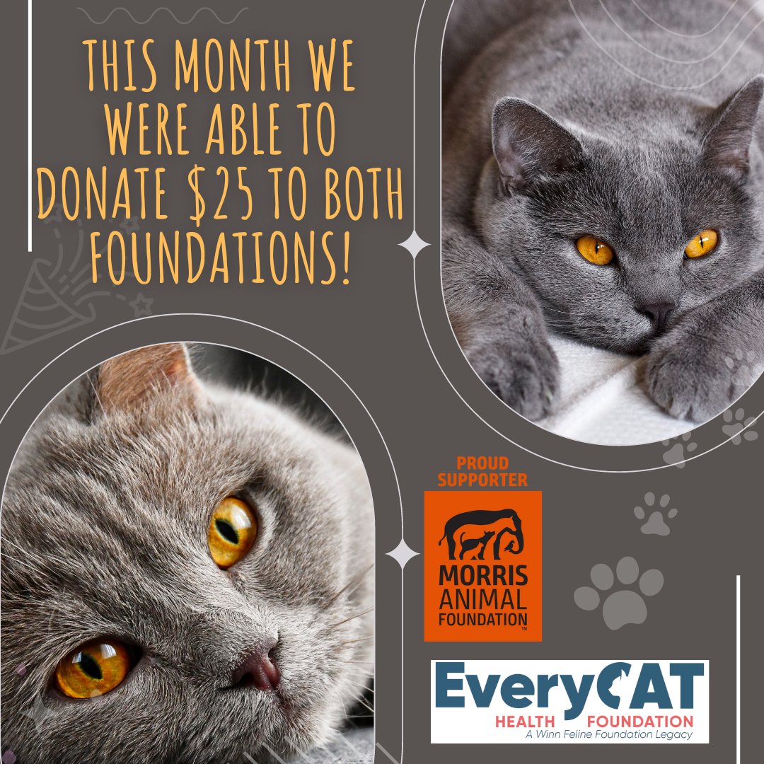 tabbycatcoffeec's tweet photo. Donation time!
#CatsOfTwitter #cathealth #felinemedicine #cathealthawareness #goalsetting #catsandcoffee #specialtycoffee #likeshare #ilovecats #ilovecoffee #morrisanimalfoundation #everycathealthfoundation https://t.co/uTwjPFCr7b