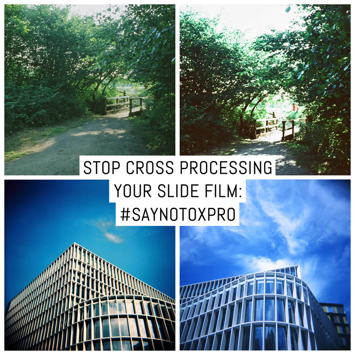 EMULSIVEfilm's tweet photo. Stop cross processing your slide film: #Saynotoxpro - by @givemeabiscuit

Read on at: https://t.co/Pxv6LIalZX and then go check out @AnalogueWLand's Analogue TV: https://t.co/Y2TR7DRpDq 

#shootfilmbenice, #filmphotography, #believeinfilm https://t.co/7rgr9sGO2K