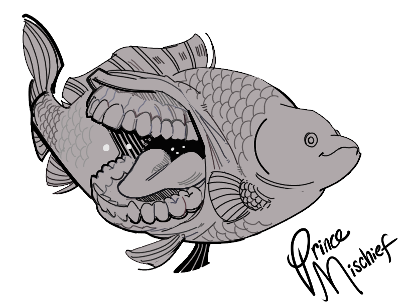 Makings_Prince's tweet photo. Reposting some art, because I realized there is much more pop without the grey background! Enjoy some fish with teeth! #digitalart #sketch https://t.co/Vgf5aZDrrQ