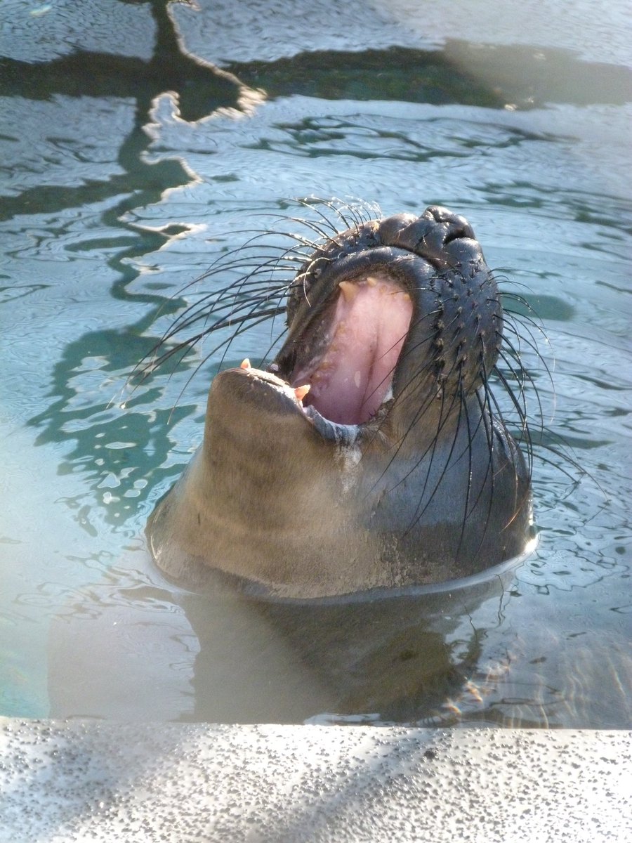 TMMC's tweet photo. When someone swipes your leftovers sandwich (WITH #MoistMaker) from the fridge 🤬😭💔 https://t.co/TNUCNZ6dwu
