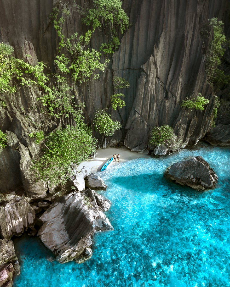 A tropical gm from an avatar world ☀️🌴