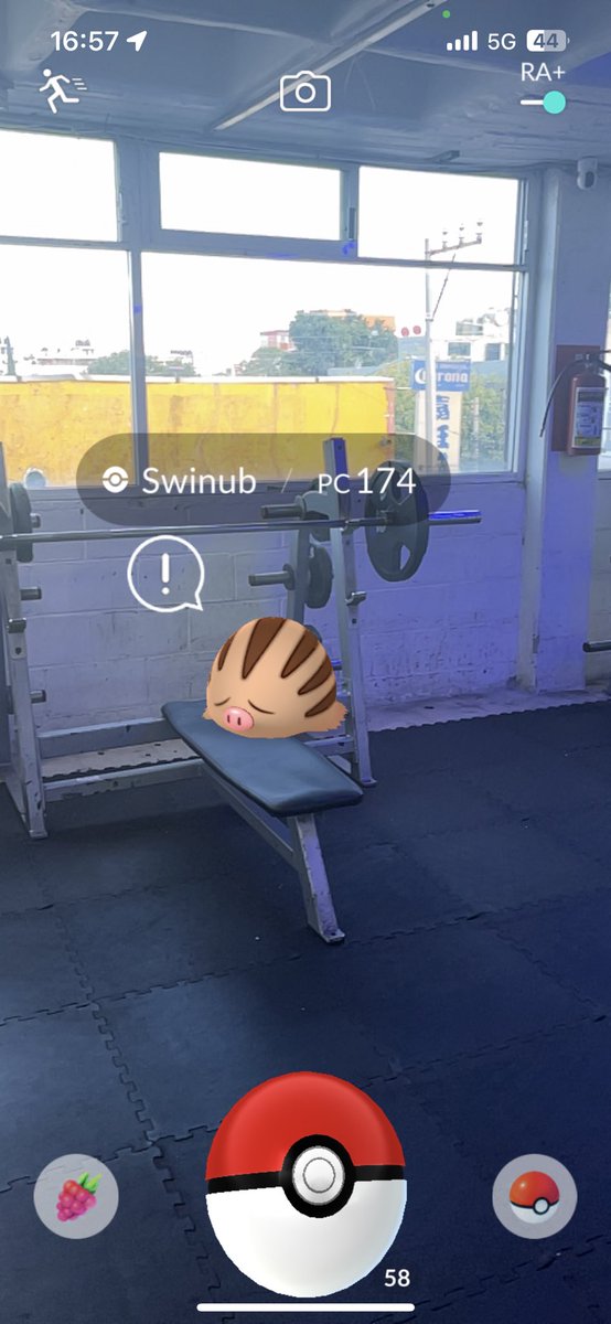 AlbiexM's tweet photo. Pokémon tipo tierra #swinub @InnvictusMX #atrapalosxinnvictus https://t.co/CHzKVVarNp