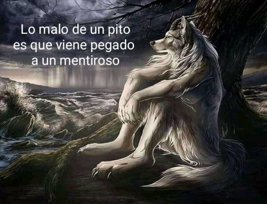 IDontProf's tweet photo. Como q mentiroso https://t.co/9KxbtETc5W