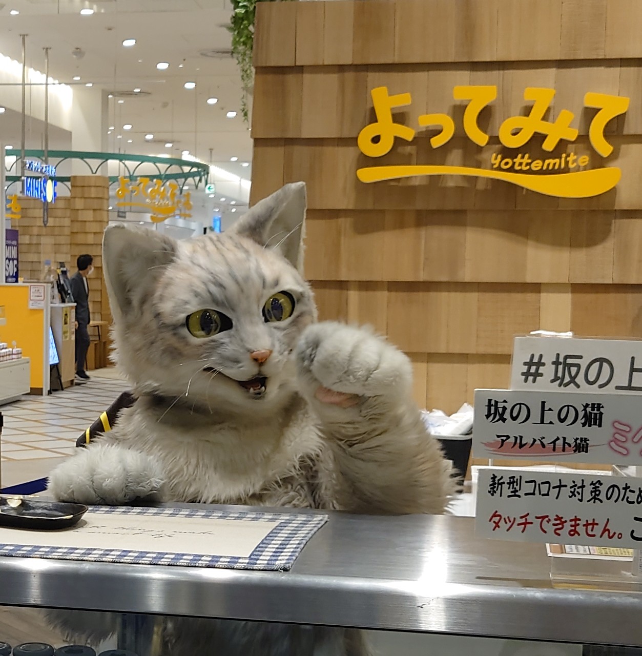 プリン専門店 坂の上の猫 源田 晃一 公式 Sakanouenoneko1 Twitter