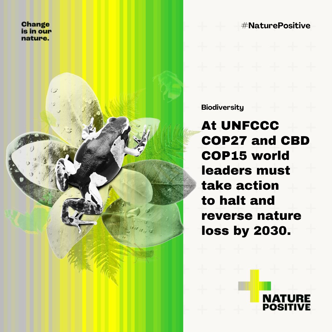 UN Biodiversity tweet media