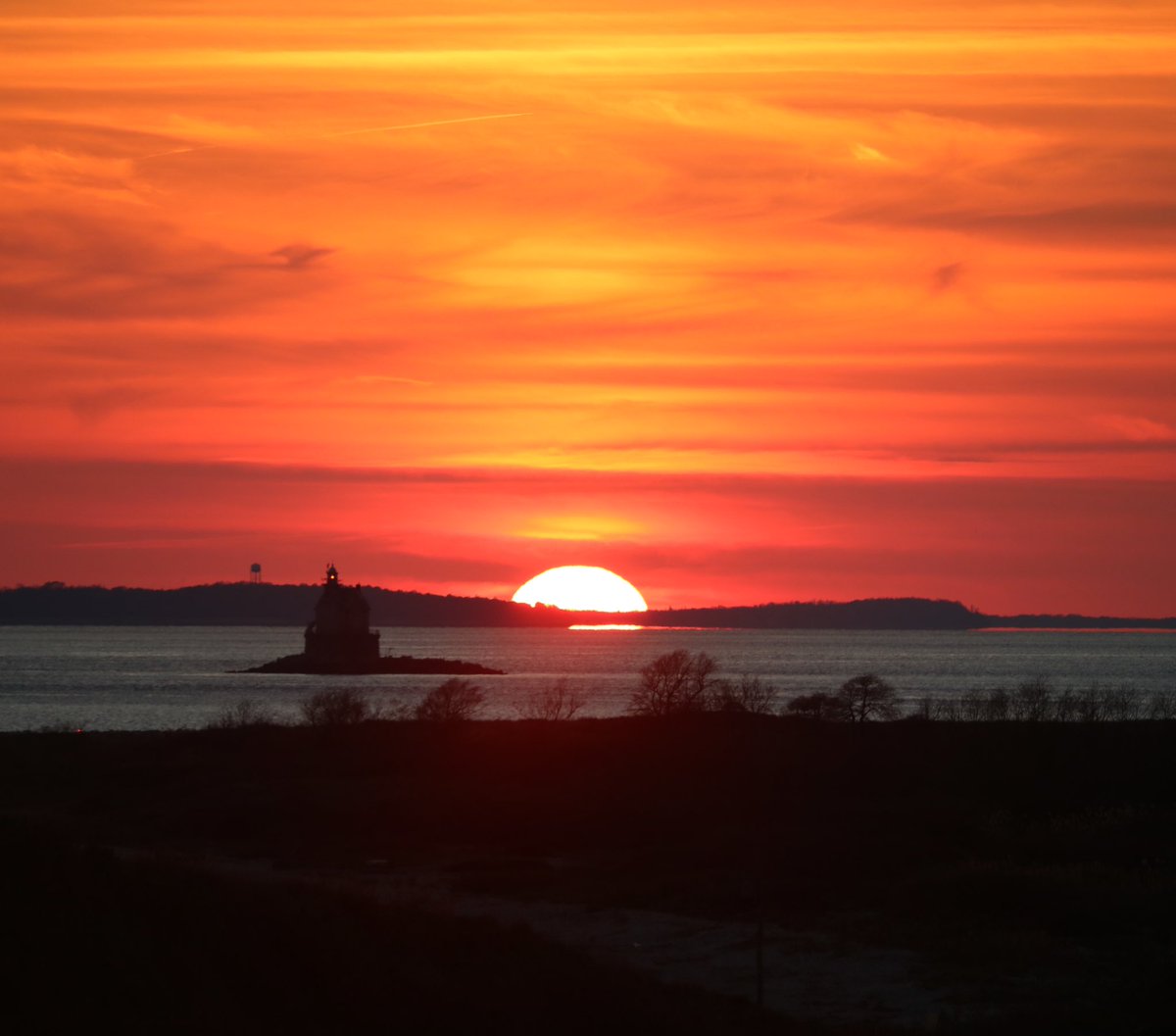 Will Hall tweet media