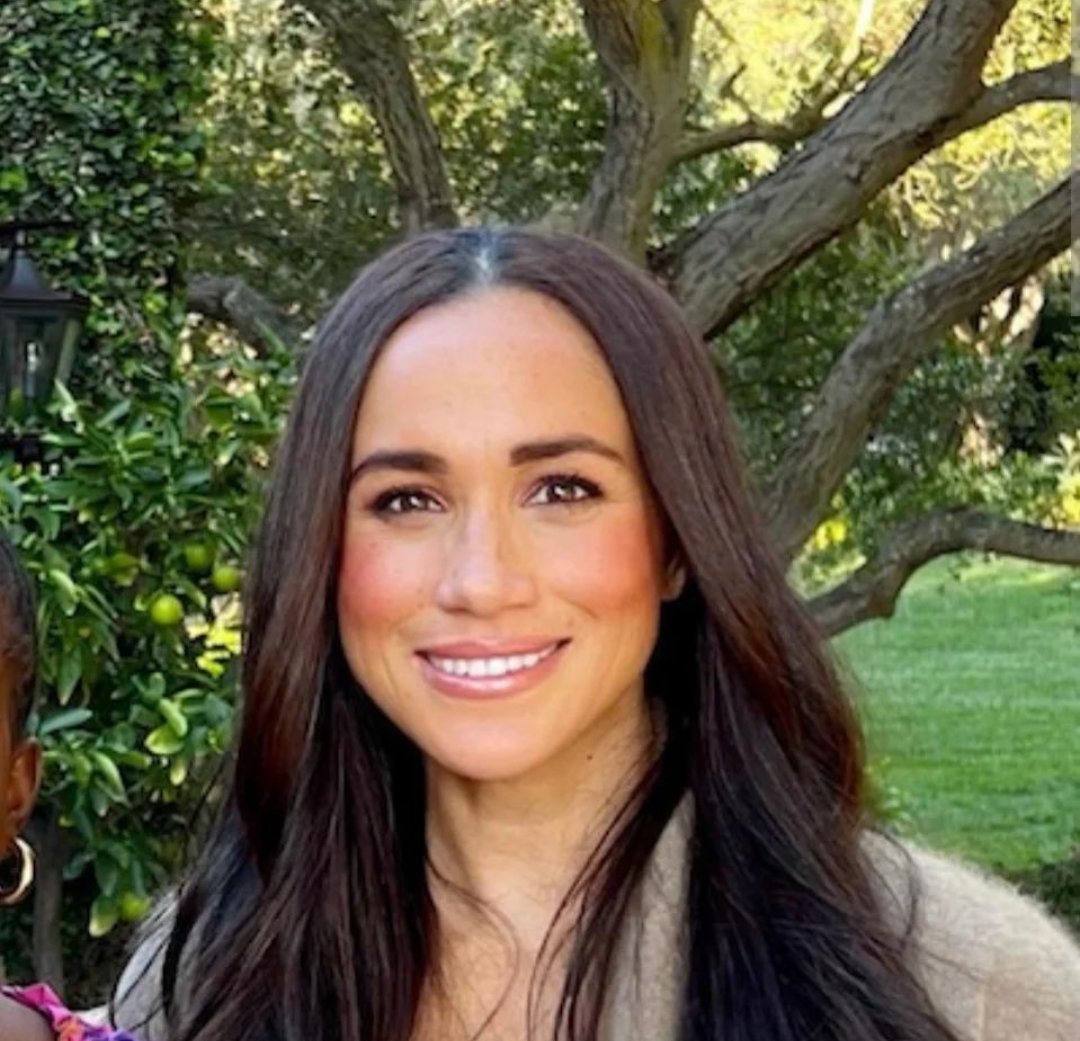 viv39047892's tweet image. One of these is a beautiful hard working member of our Royal Family. The other one uses her Royal Title to try and bring down the very family that gave her that title! ❌❌❌❌❌❌❌