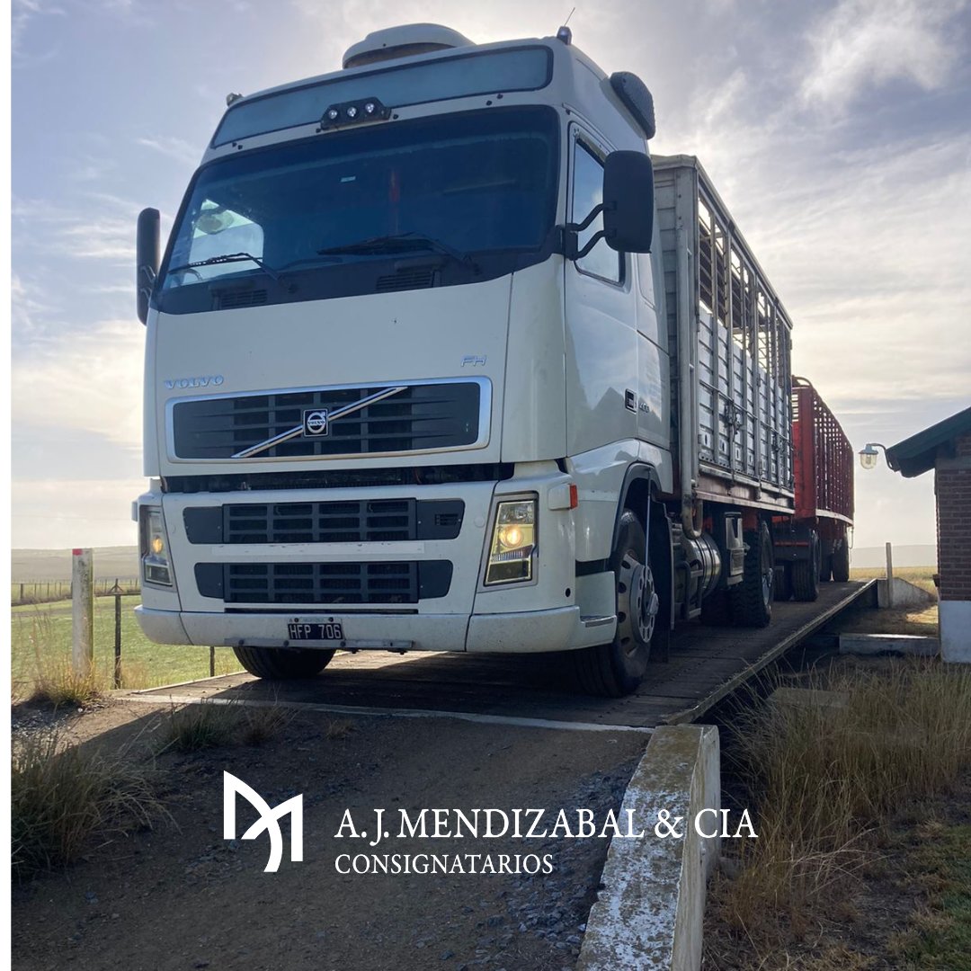 ajmendizabal's tweet photo. Hoy día de carga y traslado. 🚚🐂
Tandil a Saladillo, Tandil a Villegas y  Egaña a Deró. 

📸Marcos Castillón https://t.co/rCOCODEHvY