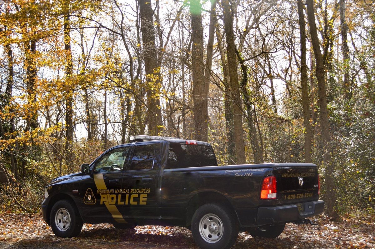 MDNRPolice's tweet photo. Tomorrow, the two-week firearms hunting season for sika and white-tailed deer opens.
We want to remind everyone that you may hear gunshots and see hunters going into wooded areas. 
For more information, including deer firearms season regulations, visit: https://t.co/1w3eQv5noq https://t.co/zWbAxT9Ot5