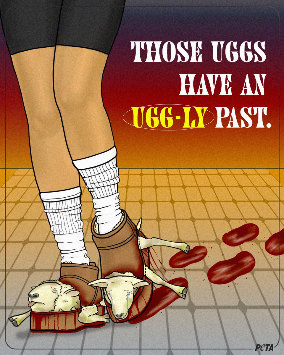 Sheep are KILLED to make <a href="/UGG/">UGG</a>. 

Wearing them is just as CRUEL as wearing FUR.