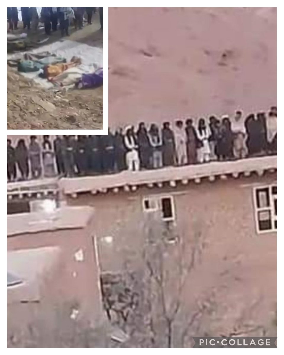 Adalat Hasan Ali (@hasanaliadalat) on Twitter photo بی توجه ی جامعه جهانی و سازمانهای حقوق بشری در  مورد نسلکشی هزارهها  !
دوازده نفر مردم ملکي از قوم هزاره اعم از  زن، مرد و اطفال در دایکندی در درون خانه های خود نسلکشی شدند از هیچ مرجع معتبر صدا بلند نگردید گويا همه کور وکر شدهاند به شمول خبر گزاری ها. 
#StopHazaraGenocide بی توجه ی جامعه جهانی و سازمانهای حقوق بشری در  مورد نسلکشی هزارهها  !
دوازده نفر مردم ملکي از قوم هزاره اعم از  زن، مرد و اطفال در دایکندی در درون خانه های خود نسلکشی شدند از هیچ مرجع معتبر صدا بلند نگردید گويا همه کور وکر شدهاند به شمول خبر گزاری ها. 
#StopHazaraGenocide