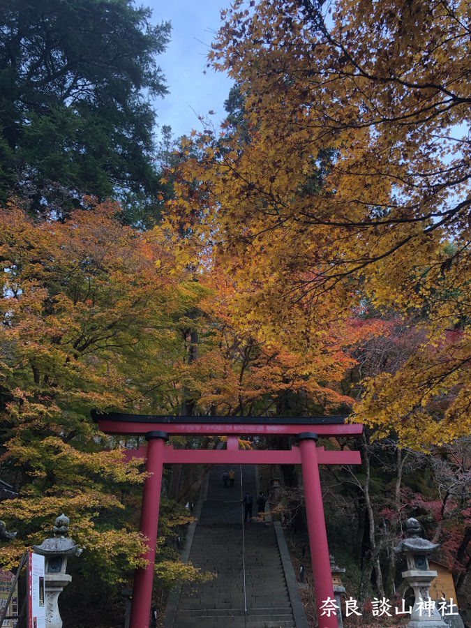 談山神社の紅葉 奈良県 紅葉名所22 ウォーカープラス