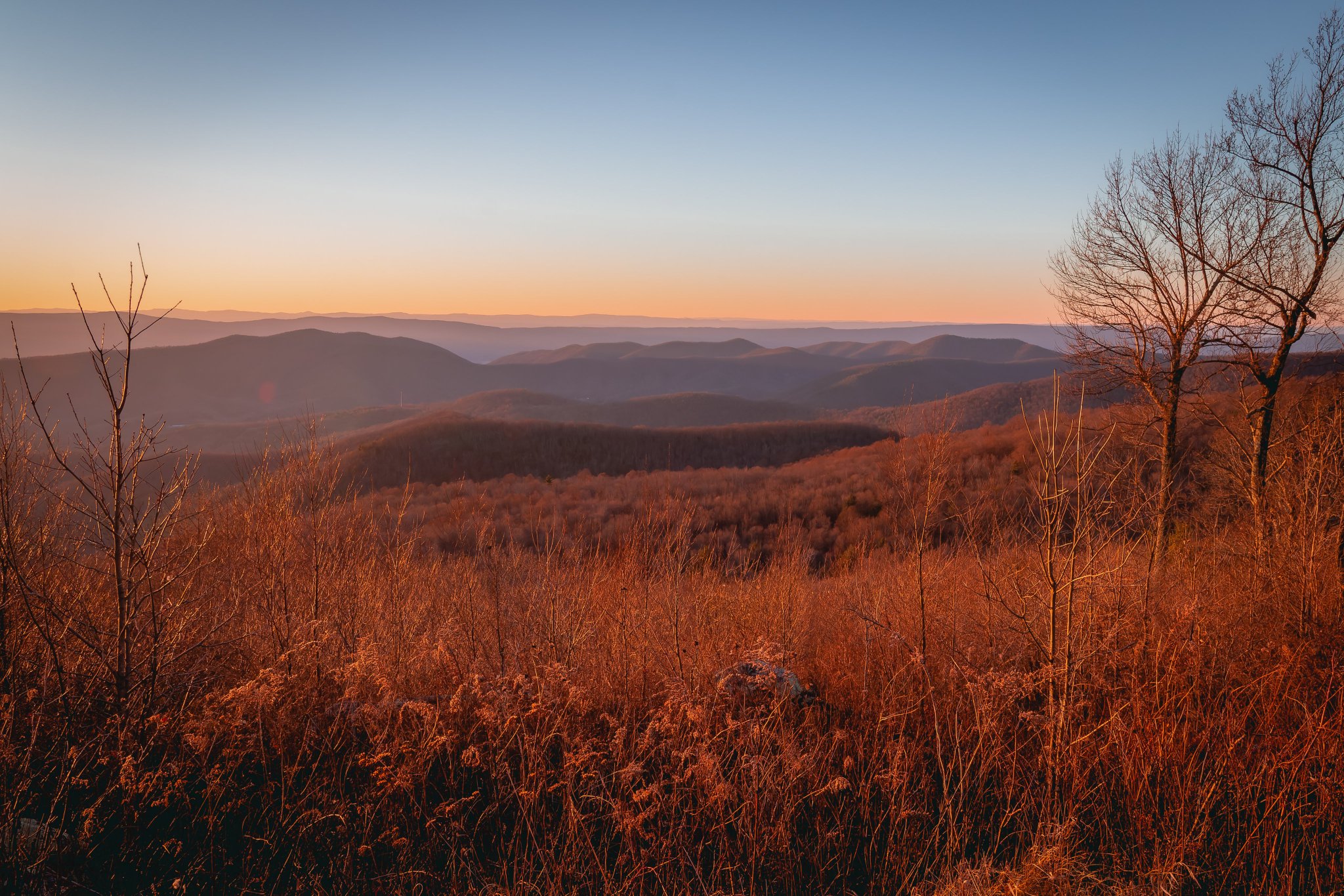 Floppy 🇺🇸 on Twitter "A photo I took last week. Not a great photo but