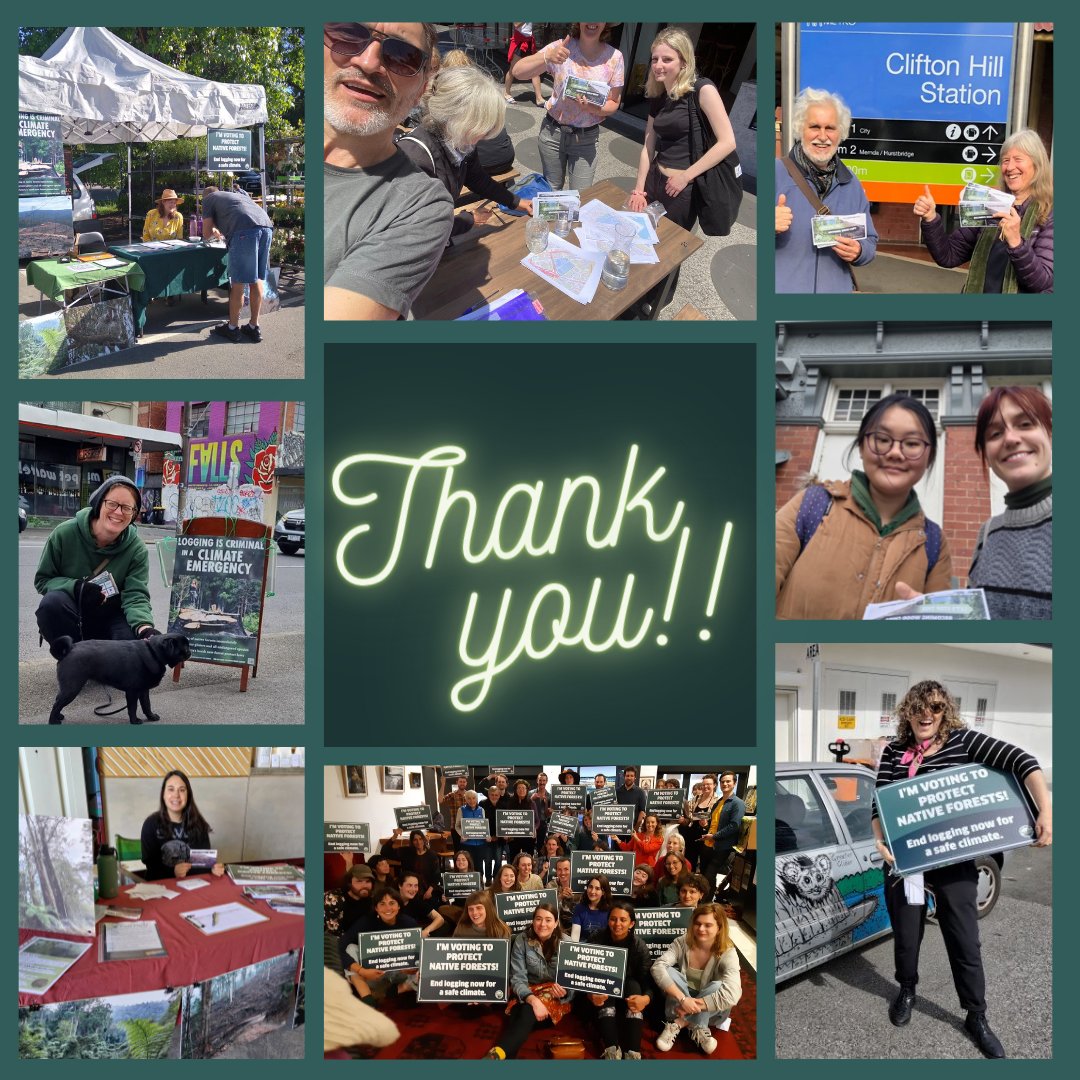 alliance_forest's tweet image. We're finally at the finish line! Whatever the results today - we made protection of native forests a massive issue this election! Beyond grateful for everything we've achieved together - we couldn't have done it without YOU! Thank you all so much 💚💚

#VicVotes2022