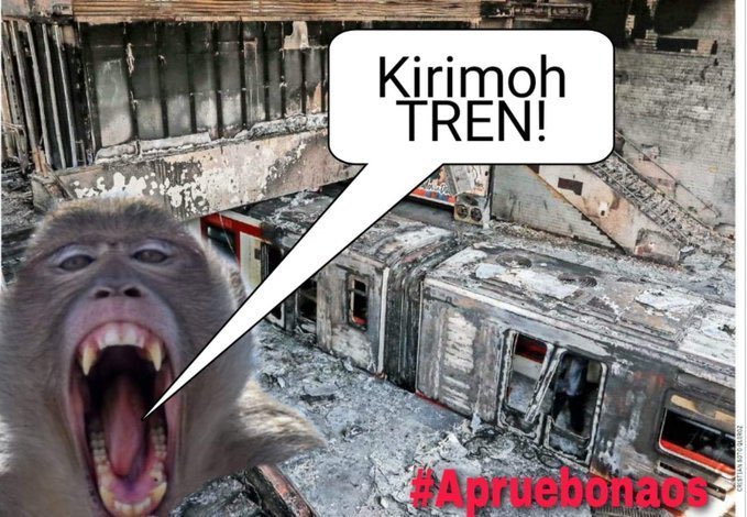 TrianaVOXX's tweet photo. El Tren NO puede llegar al Supermercado, Mall, Ferreterías, Persa, Matadero, Constructoras, Packing, el tren no puede repartir agua, etc! Así que #TrenesParaChile es más falso que el #MerluzoPoeta https://t.co/m6sKE90kGe