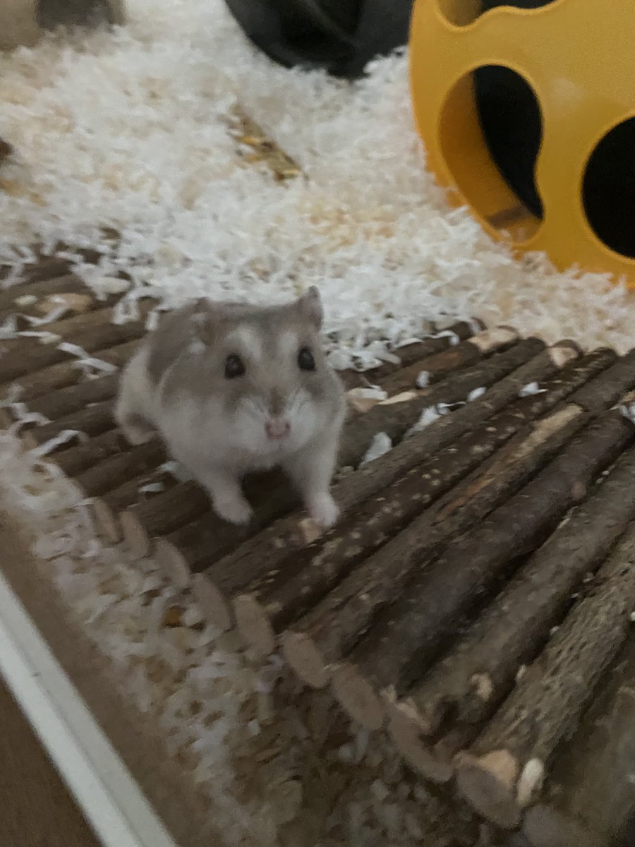 누구신데저희집에오셧어여? <의 얼굴이다 🤤