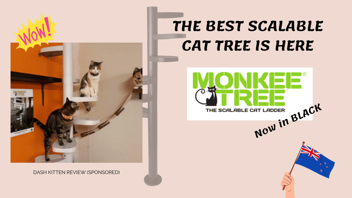 whskr's tweet photo. Attention Cat Lovers! The world's most stylish Cat Tree is now available in stunning black! from small steps to tall steps the choice is yours and your cats will have so much fun. https://t.co/St7go2Rcks #ad #cattree #NZMade #NZDesign #CatSteps #catstairs https://t.co/9c3KdBk7zD