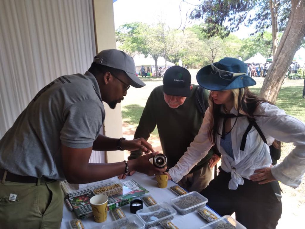cafe_tanzania's tweet photo. During the event, as among the implementers of #SmallholderCoffeeDevelopmentProject @cafe_tanzania showcased coffee post harvest management practices that are environmentally friendly and how agroforestry is integrated in coffee farming.

@ViAgroforestry 
#EuropeanUnion 
#CODEP https://t.co/BP8qexVRHJ