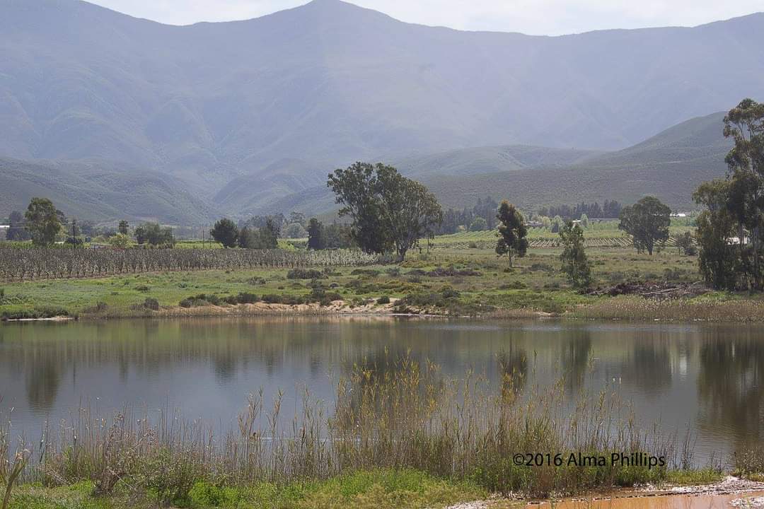 almaphillips's tweet photo. #FromTheArchives #mountainbackdrop #NaturePhotography #MarbrinOliveFarm https://t.co/wZIu5cfLCG