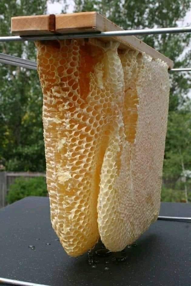 Like and retweet if you like honey.